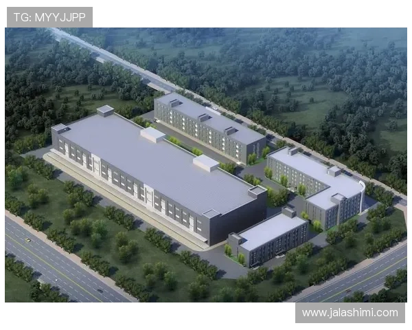 凯发集团旗下的公司：探讨其未来发展战略及在新兴市场的布局计划